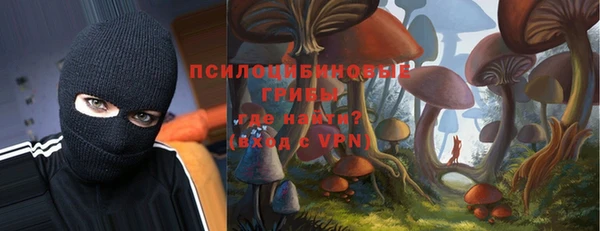 мескалин Няндома