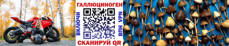 Галлюциногенные грибы Magic Shrooms  Купить где  Ялуторовск 